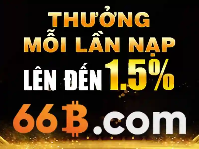 Mô hình 66b: Khía cạnh và ứng dụng