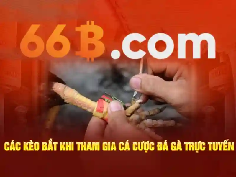 Định nghĩa và quy mô tham số của 66b