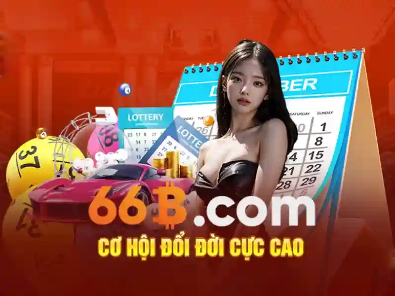 66b nguyễn chí sách phường 15 tân bình – Trải nghiệm người dùng