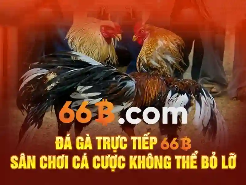 chơi 66b có bị bắt không? Câu chuyện, nguồn gốc và tương lai