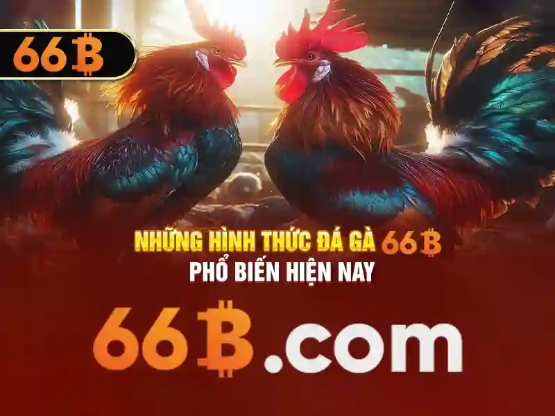 66b nss – Tổng quan về chủ đề và giá trị cốt lõi