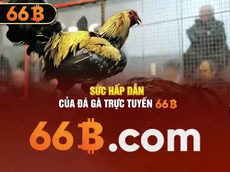 66b võ thị sáu – phường 6 – quận 3 – hồ chí minh: Tầm nhìn và Ứng dụng