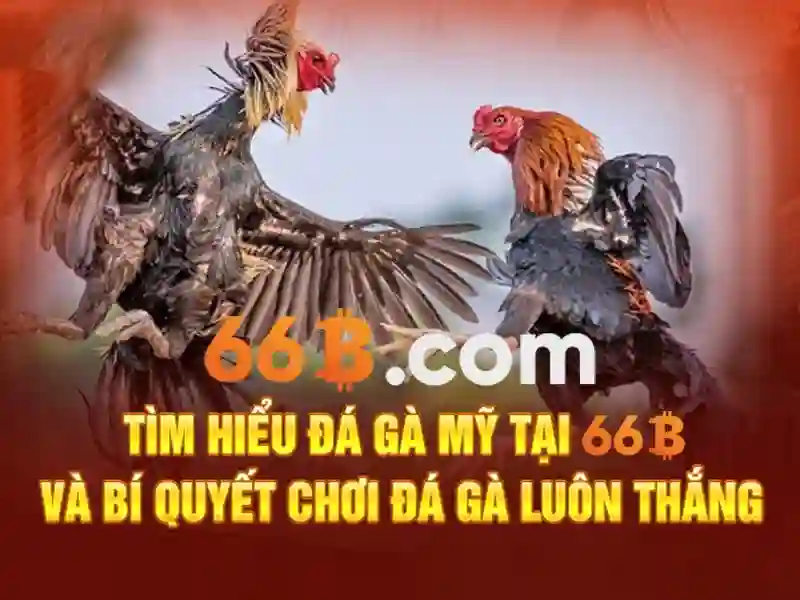 66B: Khám phá mô hình ngôn ngữ 66 tỷ tham số