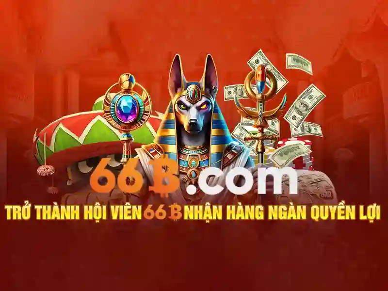 64/66b – Định hình thương hiệu và trải nghiệm người dùng toàn diện