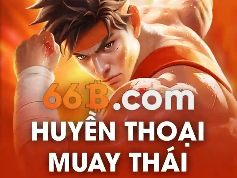 Chinh sach khuyen mai va quy dinh dat cuoc 66b