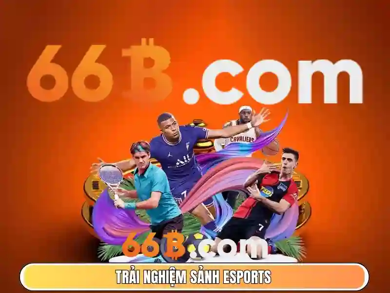 66b là gì? Tổng quan và tác động