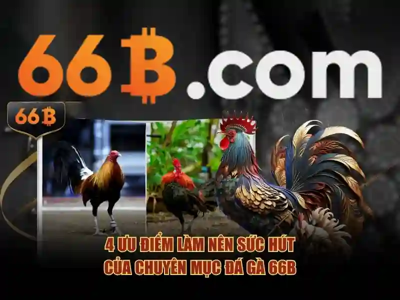 66b trần hưng đạo, hoàn kiếm, hà nội – hành trình thương hiệu và cộng đồng