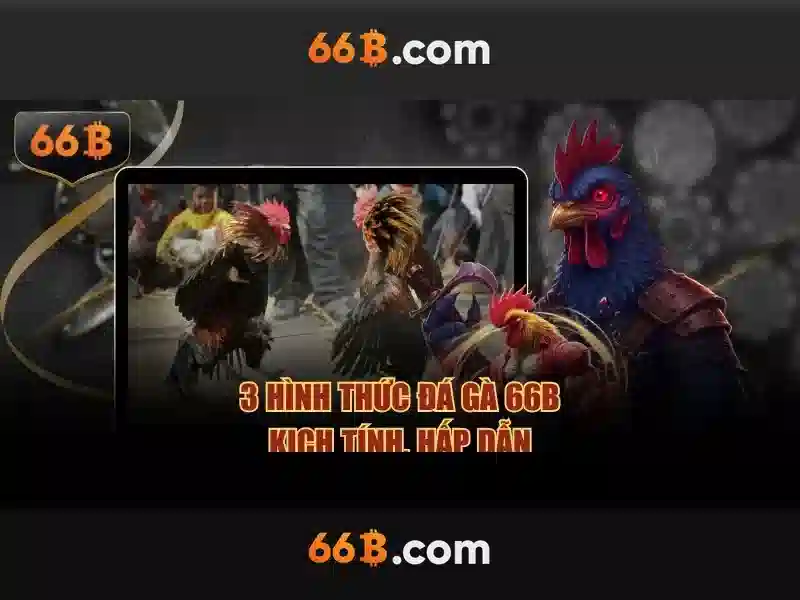 66B: Khám phá mô hình ngôn ngữ lớn và vai trò của nó