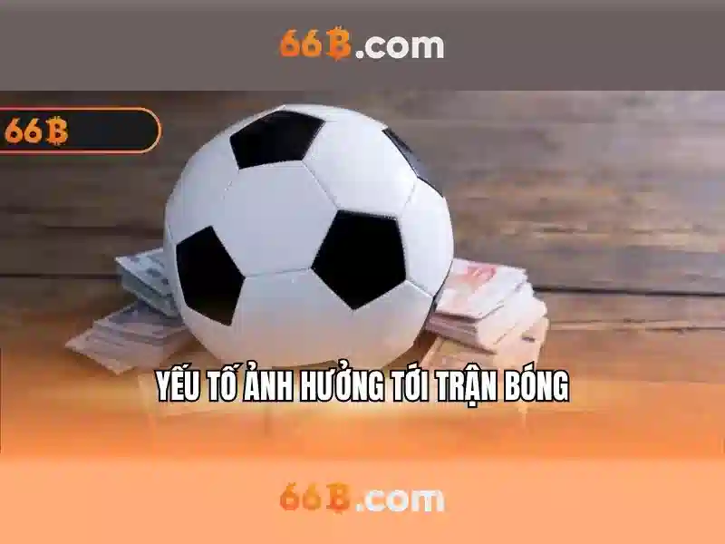 66B trong tiếng Việt: Tổng quan và ứng dụng
