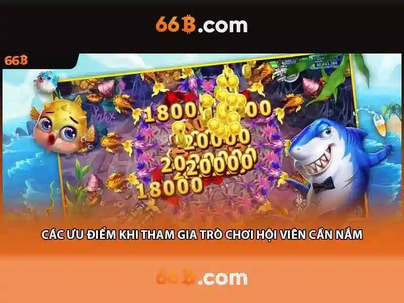 An toan va phap ly cua 66b