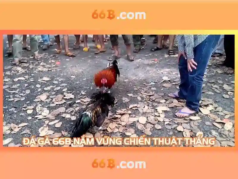 ung dung section 66b of the finance act 1994