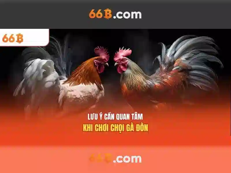 66b trong đời sống hàng ngày