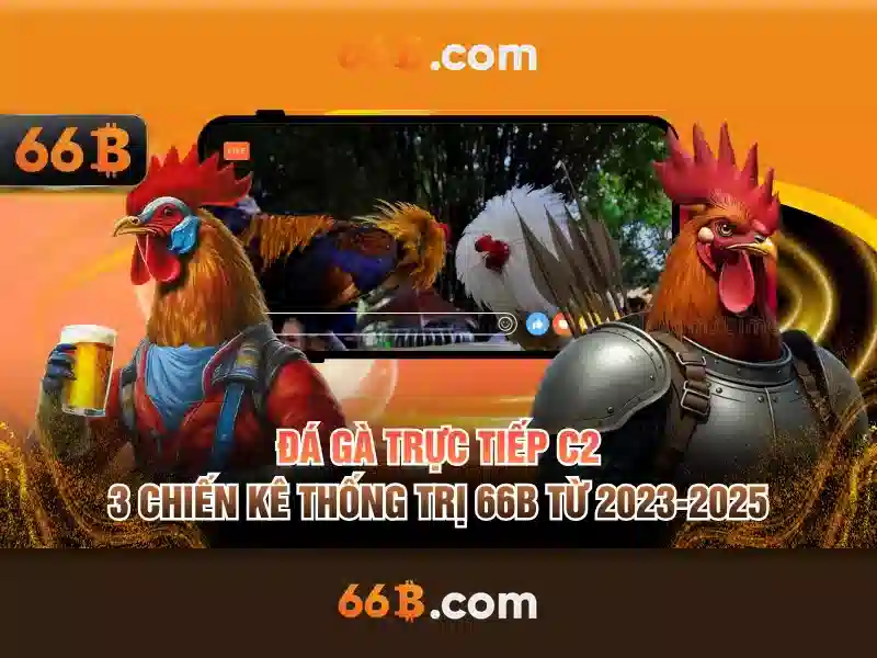 sa18-66b-ae: Tiêu chuẩn mới cho trải nghiệm số và thương hiệu