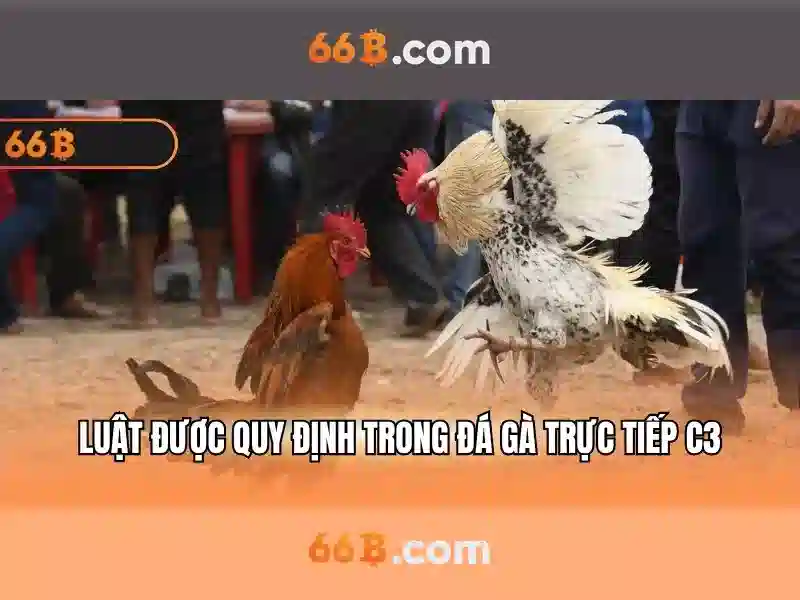 Tổng quan từ khóa và sứ mệnh của hoogoorddreef 66b