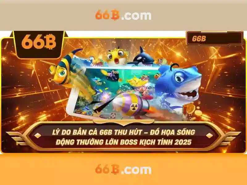 Kích thước 66B và cách đọc bảng đo