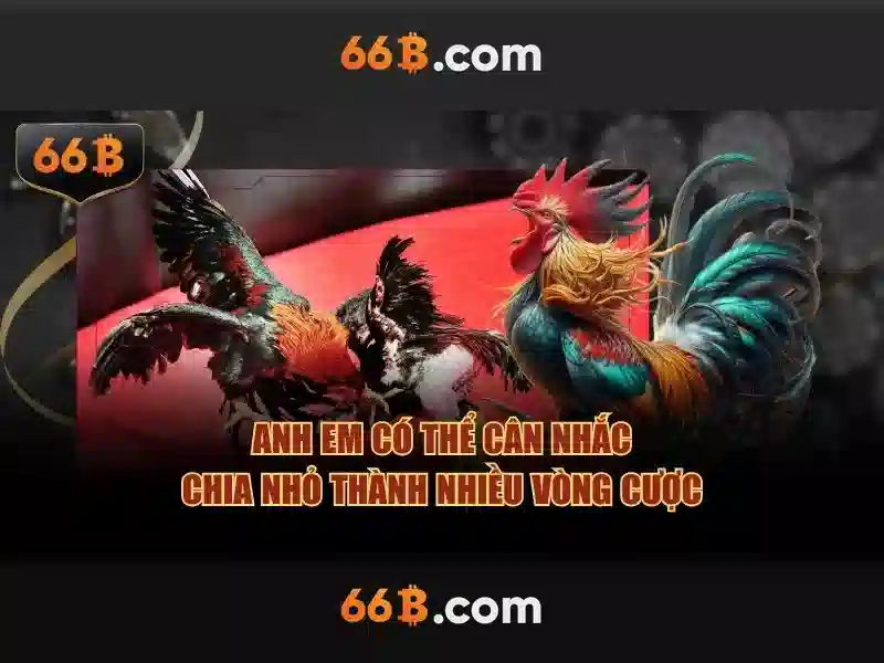 66b — Khám phá một khái niệm công nghệ hiện đại