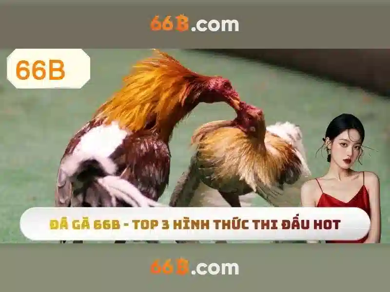 Hiệu suất và ứng dụng