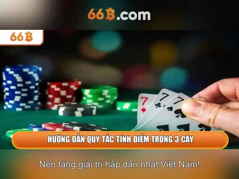 66B là gì?