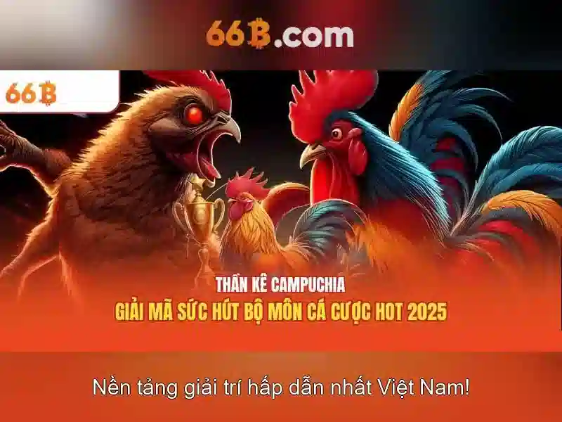 phản hồi cộng đồng và đánh giá code 66b