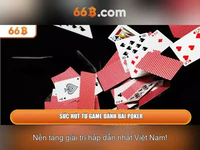 66b: một khái niệm và hành trình hiểu nó