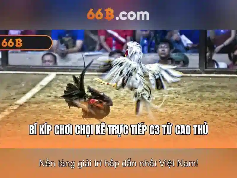 66B: Mô hình ngôn ngữ 66B và những điều bạn cần biết