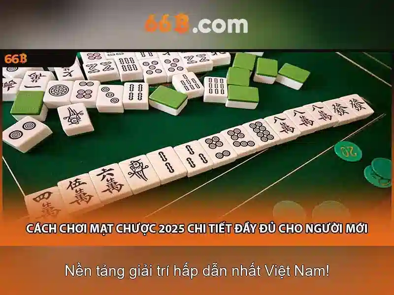 code 66b: Định vị thương hiệu và trải nghiệm người dùng