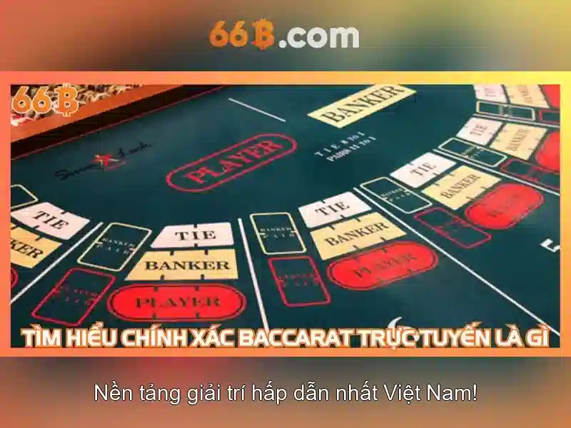66B là gì và vì sao được chú ý