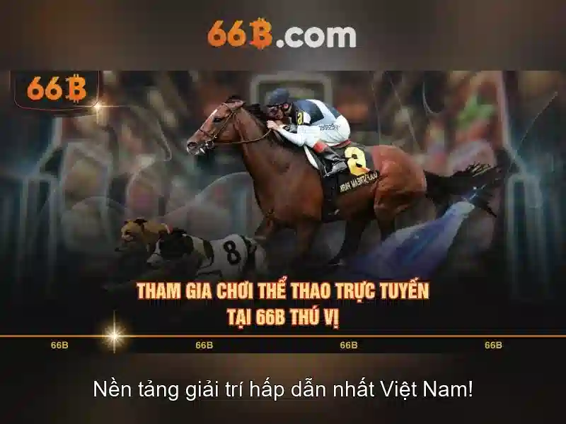 Khái niệm cơ bản về 66b