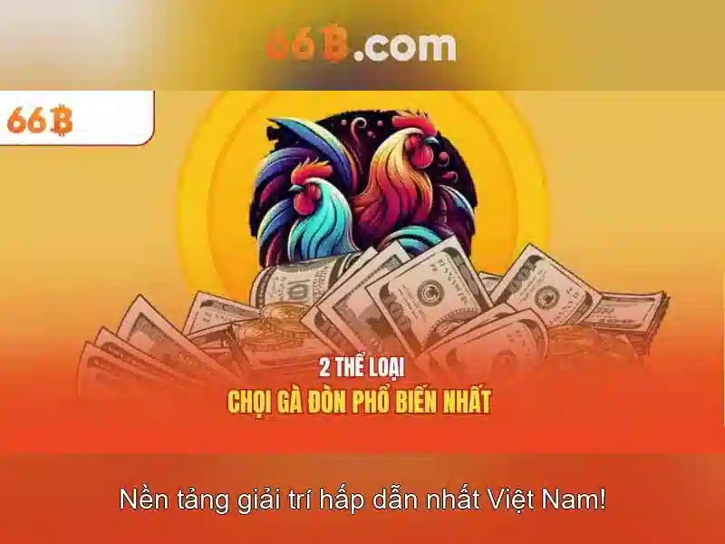 Kết luận và tương lai
