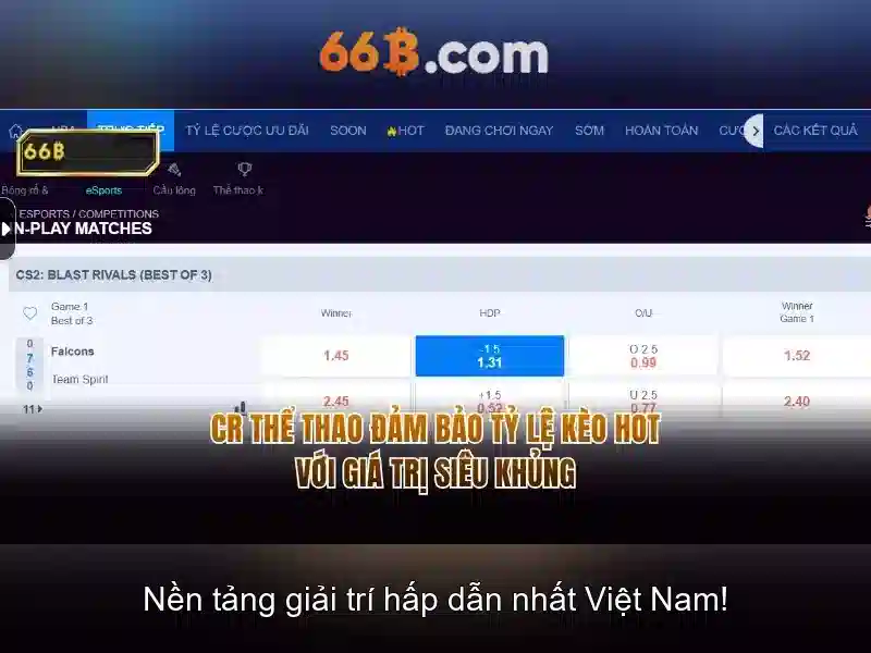 Kiến trúc cơ bản của 66B
