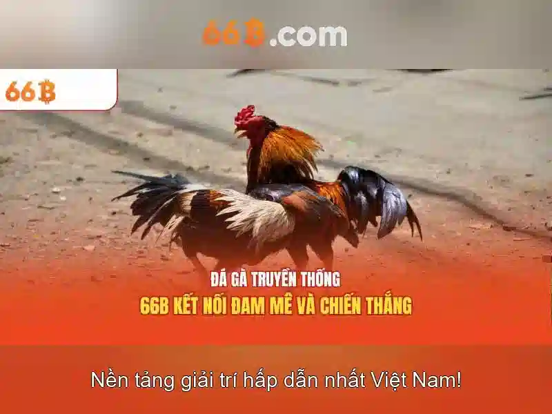 66b và ý nghĩa trong sinh học phân tử