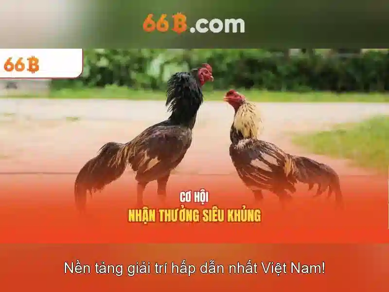 64b 66b encoding: Định hình chuẩn mã hóa cho tương lai số