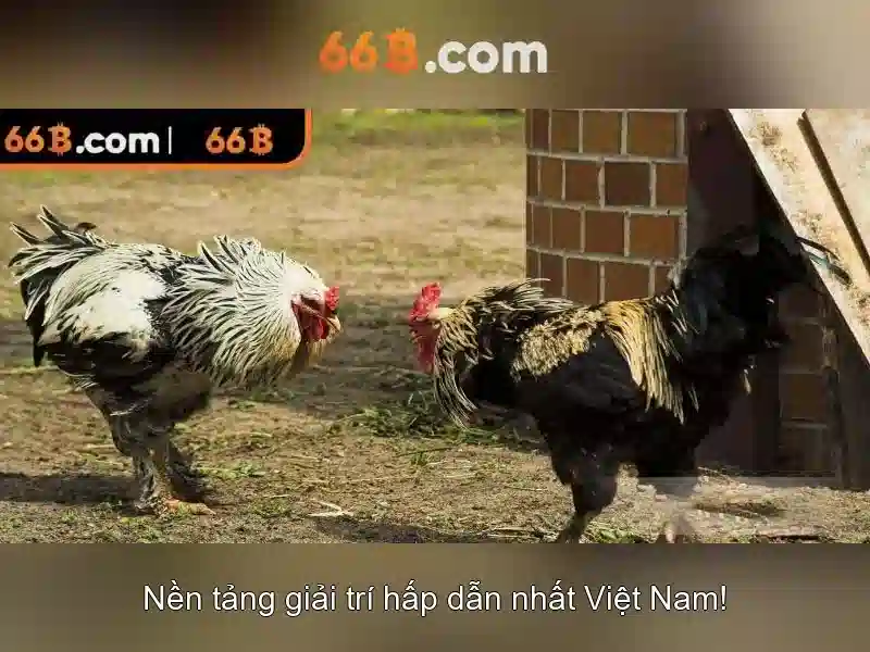 Kiến trúc và cách hoạt động của 66b