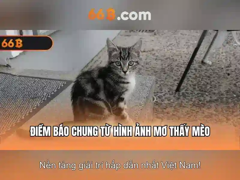 Ứng dụng và thách thức