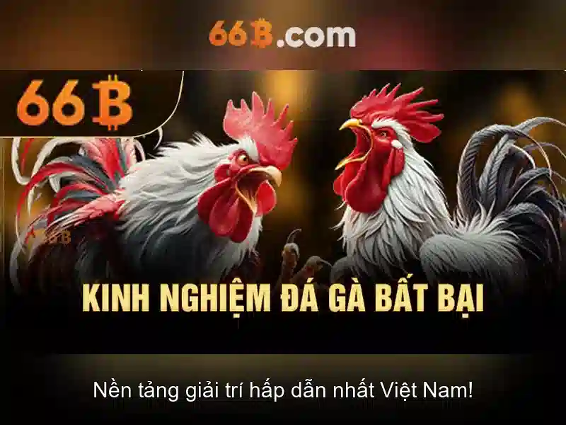 Ứng dụng của 66b trong trí tuệ nhân tạo