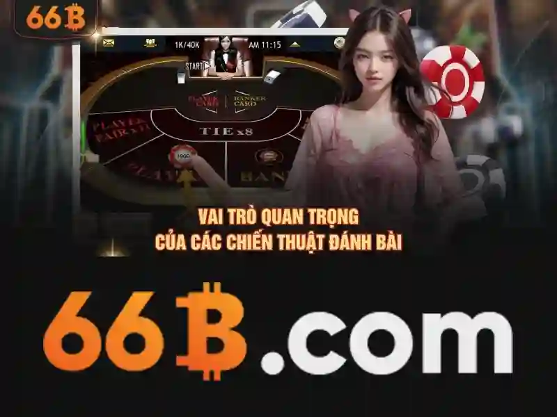 So sánh ưu thế và sức cạnh tranh của hoogoorddreef 66b