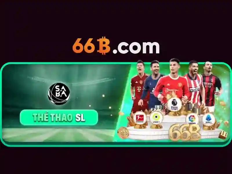 66b hạ long – Hành trình trải nghiệm và giá trị đích thực