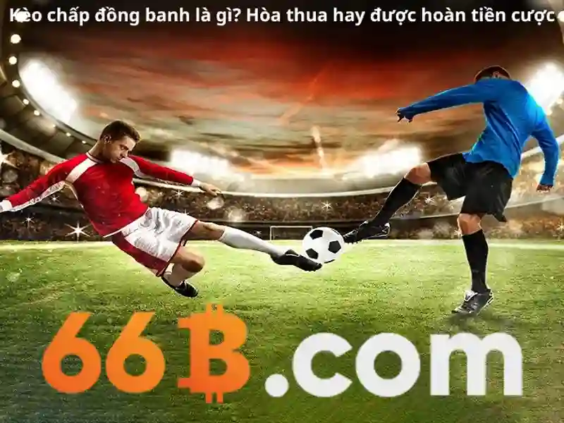 Phân tích tỷ lệ và cách tính 66B