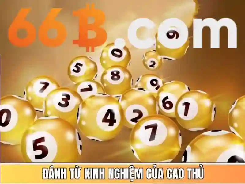 66b nguyễn sỹ sách p15 q tân bình - Trải nghiệm và đánh giá