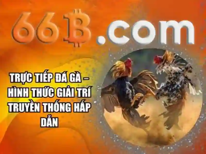 66b là gì? Tổng quan và tác động