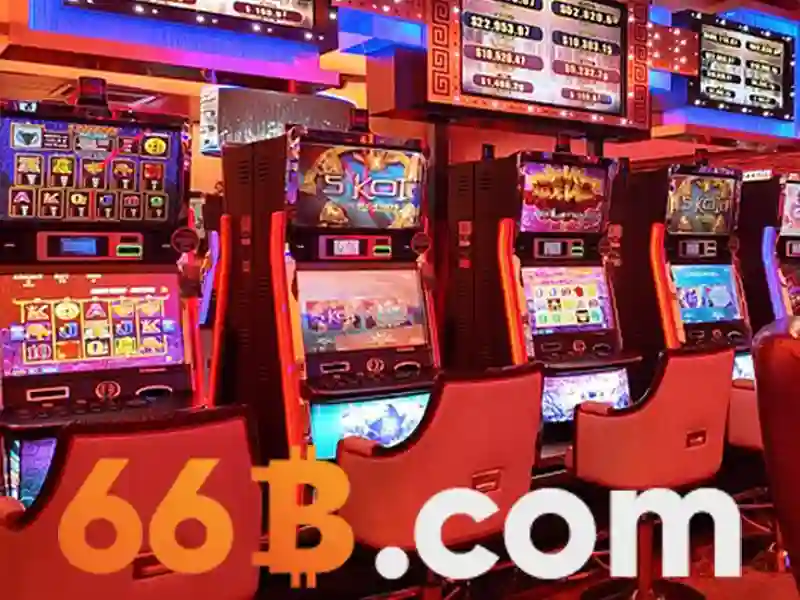 66b là gì? Tổng quan và tác động