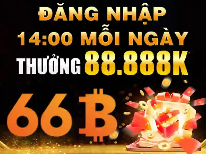 66b hạ long – Hành trình trải nghiệm và giá trị đích thực