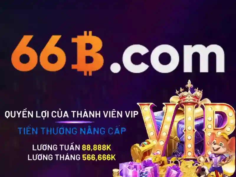 66b – Sản phẩm và dịch vụ cốt lõi