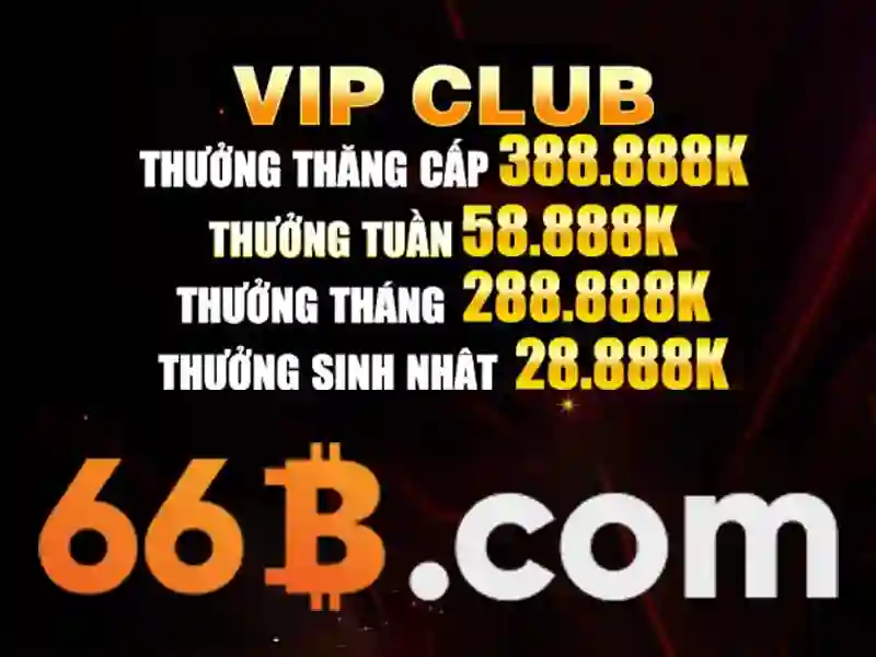 66b là gì? Tổng quan và tác động