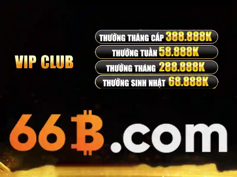 66b là gì? Tổng quan và tác động