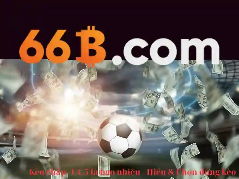 66b là gì? Tổng quan và tác động