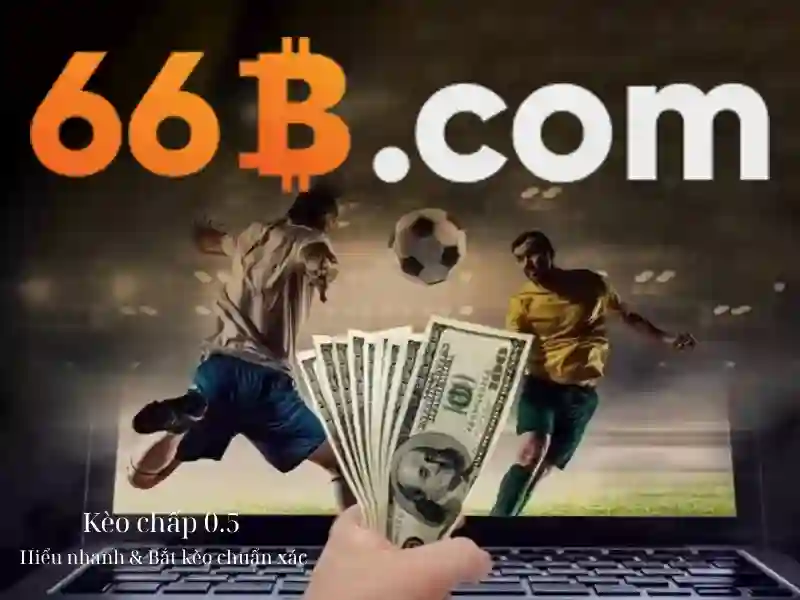 66b hạ long – Hành trình trải nghiệm và giá trị đích thực